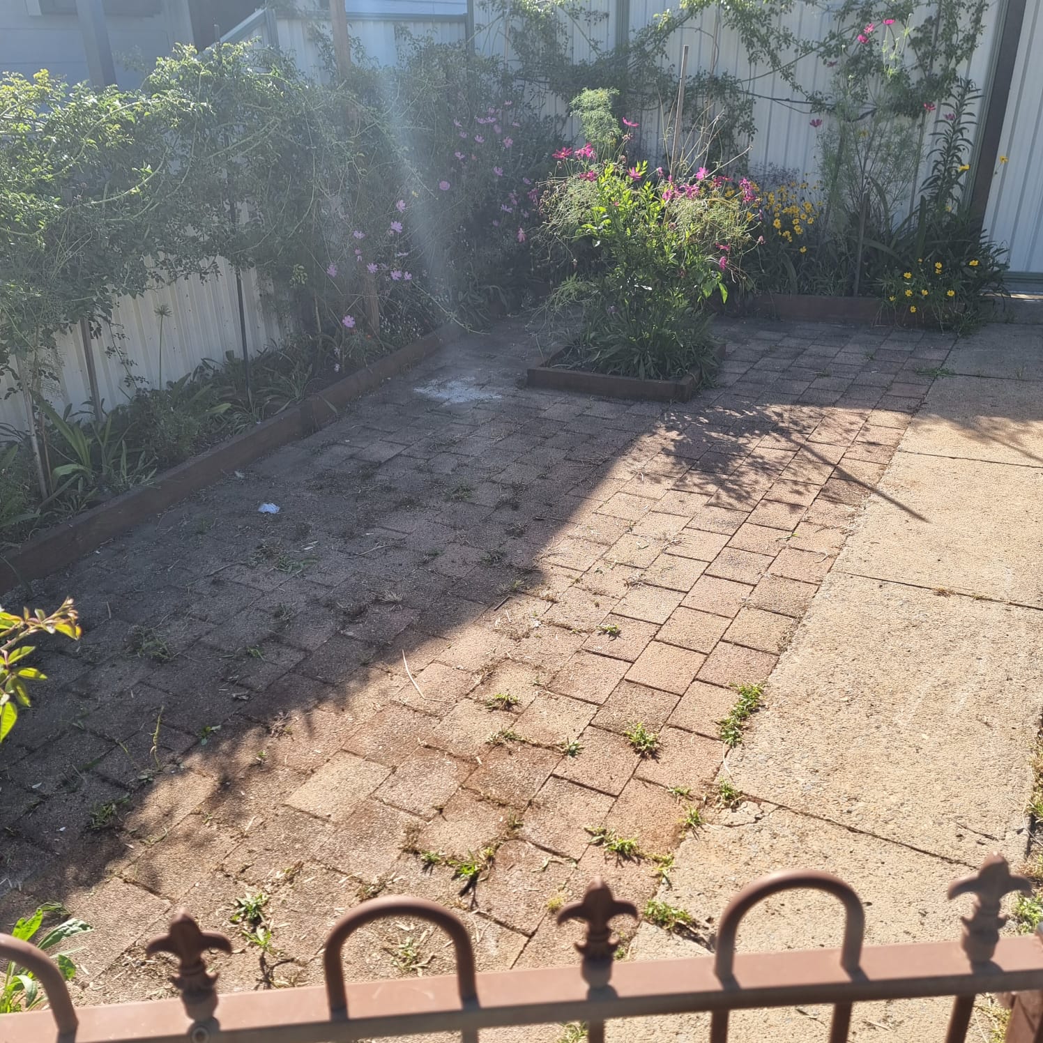 Dirty driveway before pressure washing